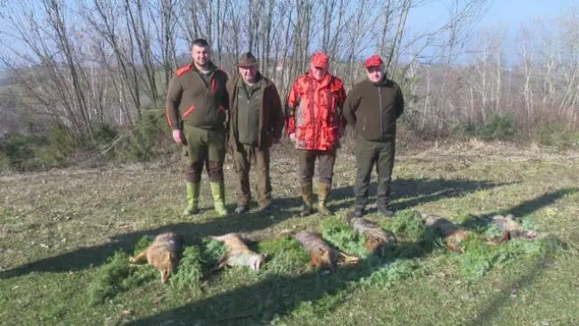 DOBOJ: Odstrijeljeno šest predatora