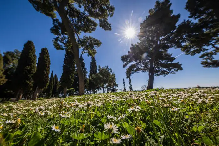 VRIJEME: Sunčano i toplo, april donosi proljećne temperature i blagu oblačnost