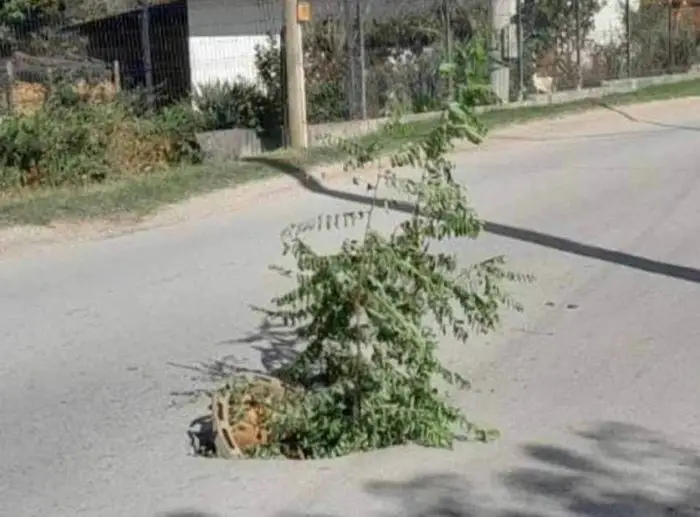 FOTO: Dobojski Info | JOŠ JEDAN NOVI SAOBRAĆAJNI ZNAK U DOBOJU: Što diletanti urade niko ne popravi.