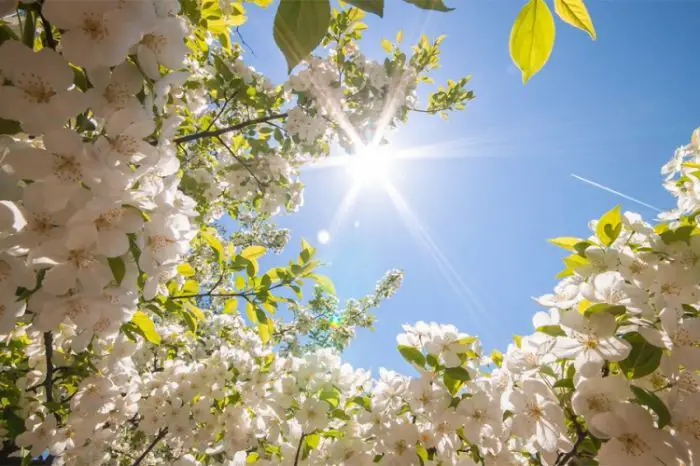 VRIJEME: Danas sunčano sa temperaturom do 25 stepeni