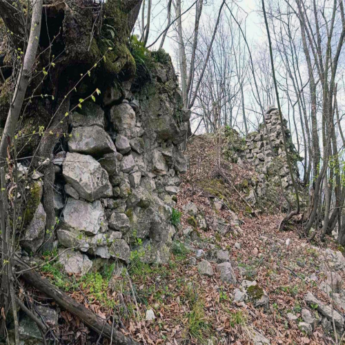 DOBOJ_Otvoren_arheoloski_kamp_Gradic-01