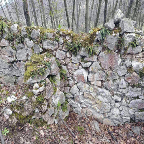 DOBOJ_Otvoren_arheoloski_kamp_Gradic-02