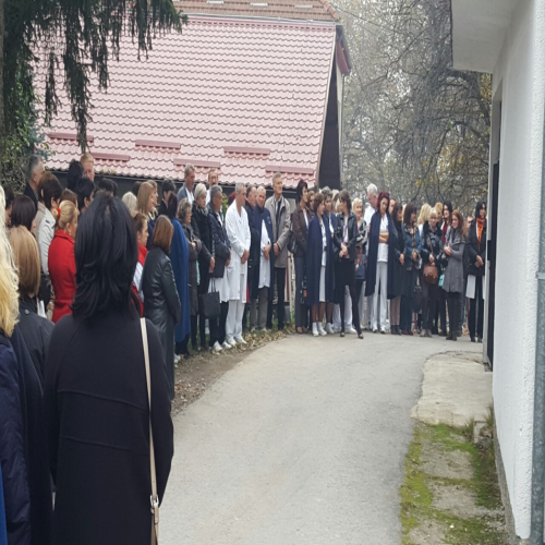 dusanka-jerinic-11