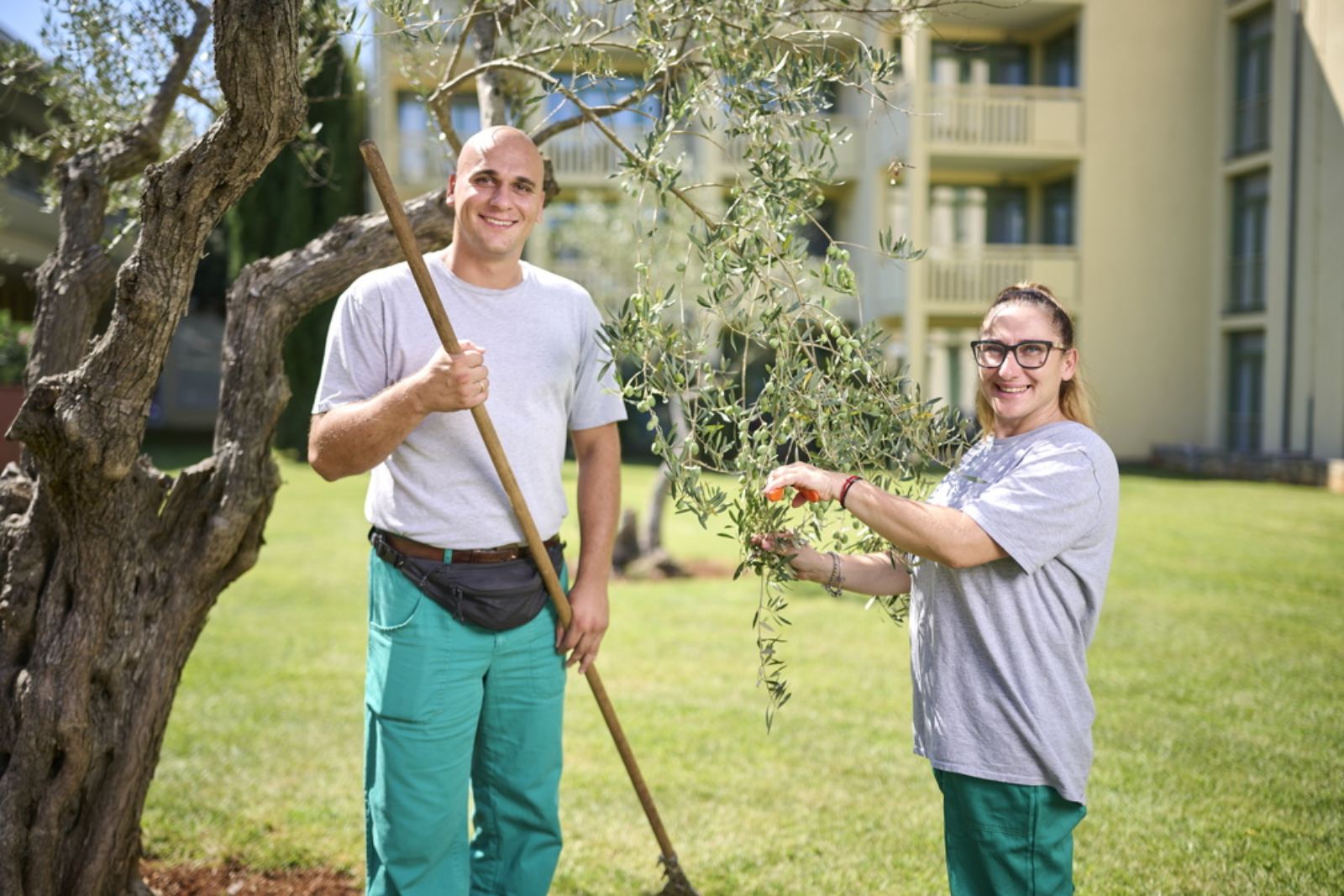 IMG df63b119c701e41a1544ecc8e044951d V