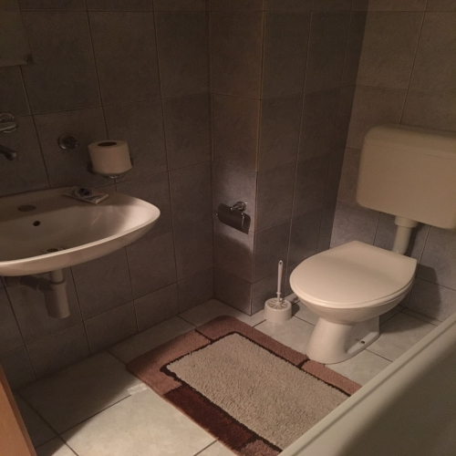 vojvode-sindjelica-26-02