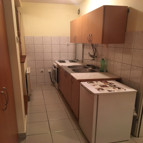 vojvode-sindjelica-26-04