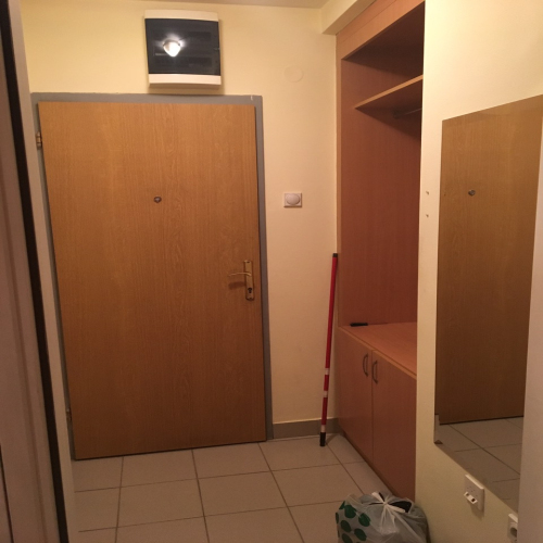 vojvode-sindjelica-26-05