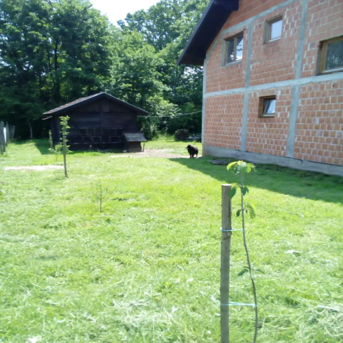 oglas-kuca-bukovica-velika-02