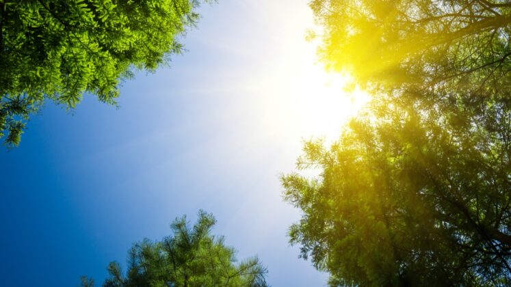 VRIJEME: Sutra sunčano, do 36 stepeni celzijusovih