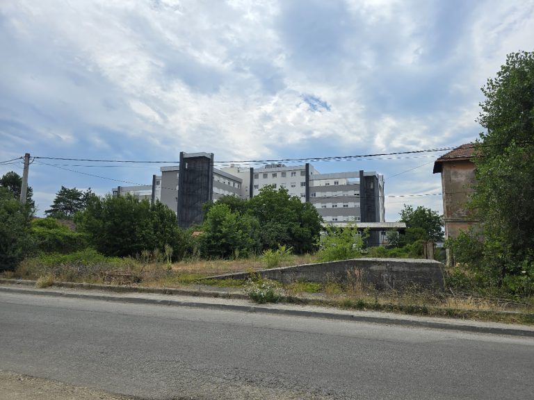 mladen gajic2 768x576