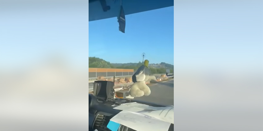 DOBOJ: Nema povrijeđenih u prevrtanju kamiona na auto-putu