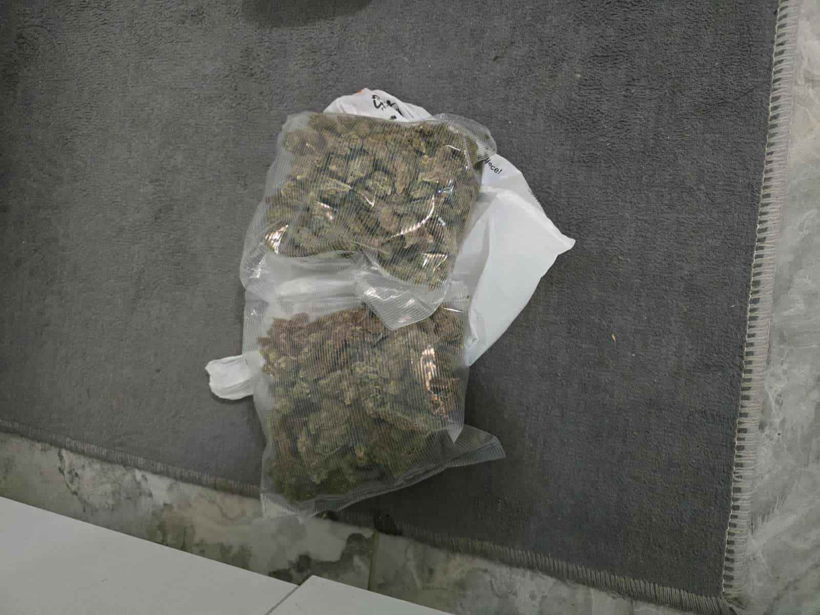 narkotici plantaza 01