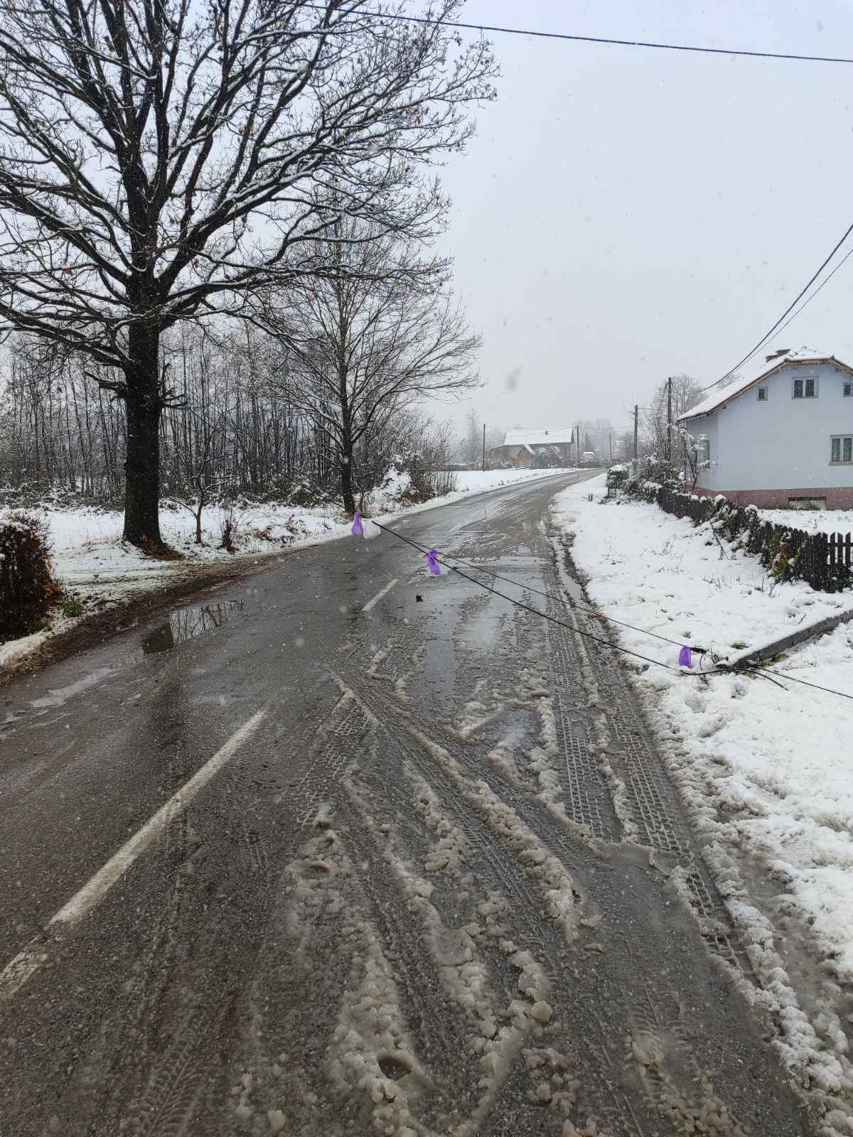 pale zice na put u Boljanicu01