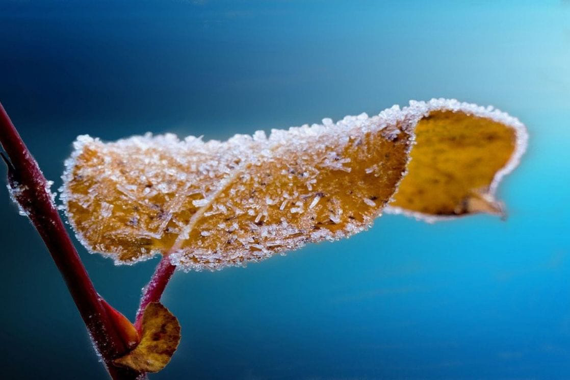 VRIJEME: Pretežno vedro uz hladno jutro, tokom dana toplije