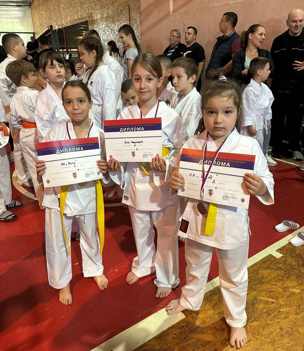 VILA IZ DOBOJA USPJESNA U TITELU 01