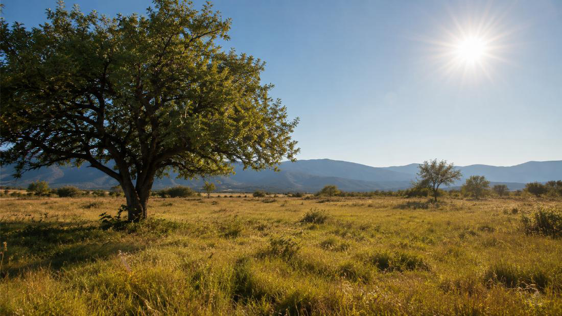 VRIJEME: Sunčano i vruće jutro, naveče mogući pljuskovi i grmljavina