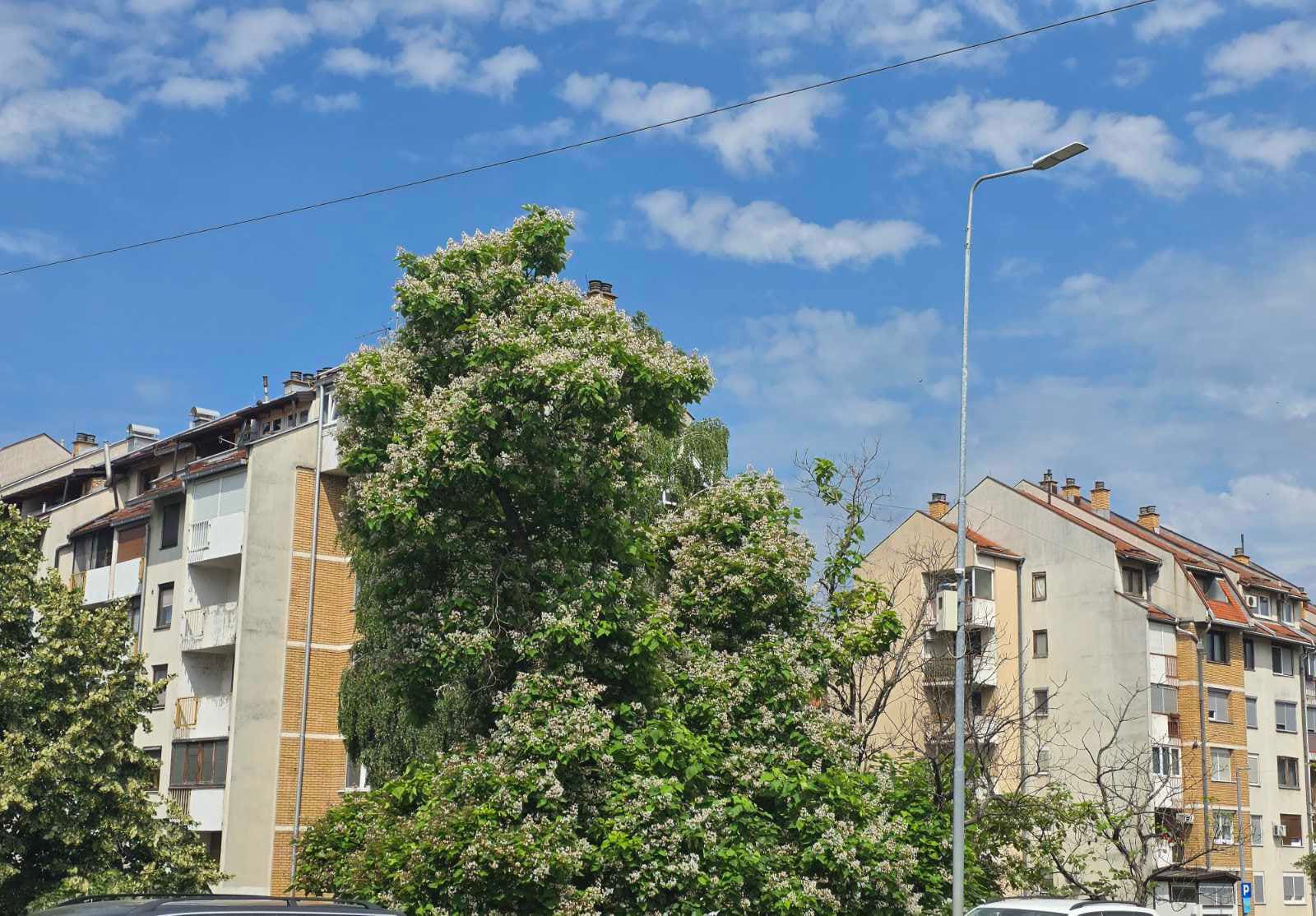 VRIJEME: Sunčano jutro, tokom dana bez kiše i do 29°C