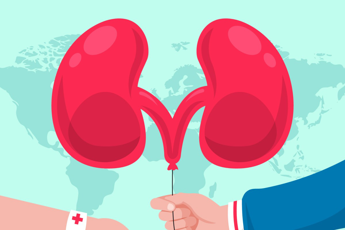 Vodič za ostvarivanje prava na finansiranje transplantacije organa u Bjelorusiji