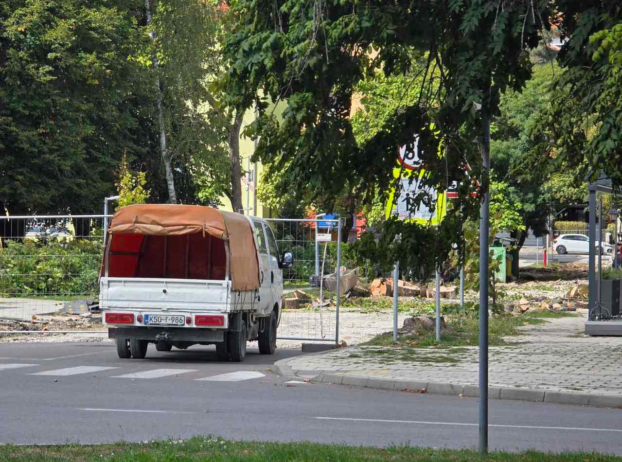 kod gimnazije u Doboju posjeceno drvece 07