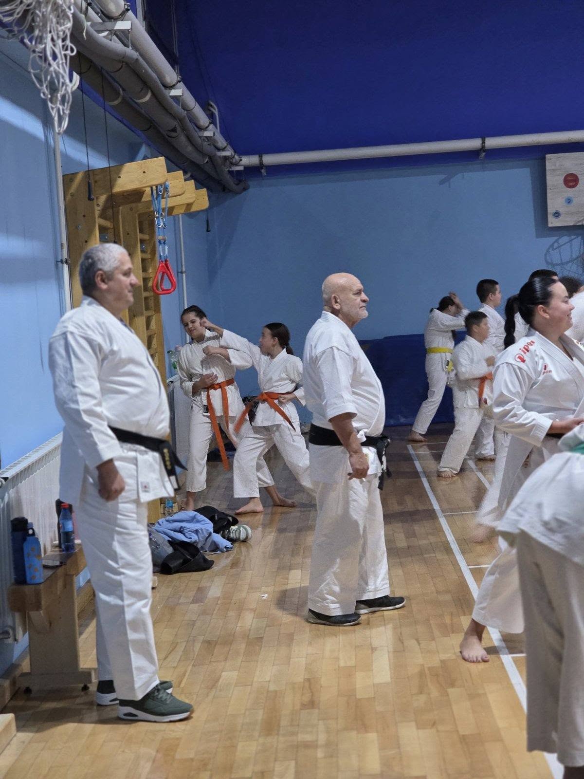 karate seminar nenad gojkovic 01