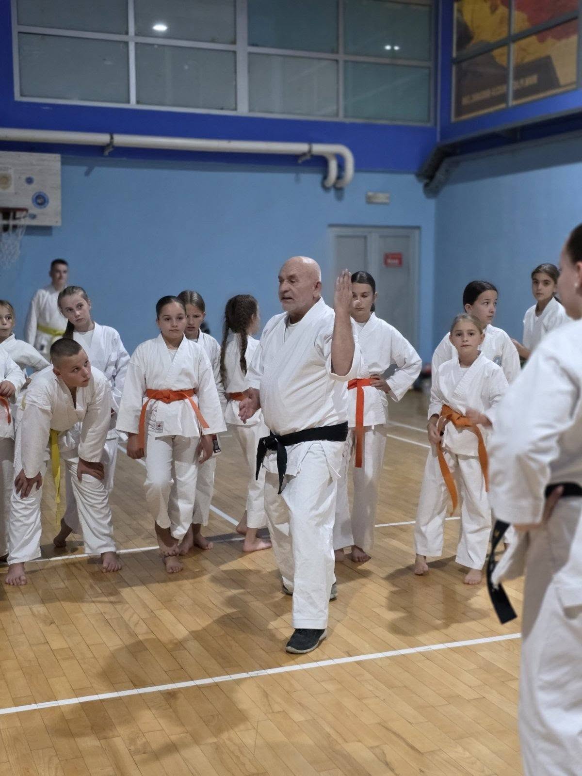 karate seminar nenad gojkovic 03