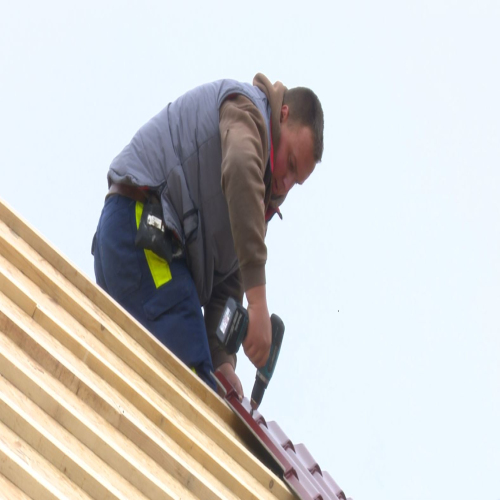 kostajnica-simici-03