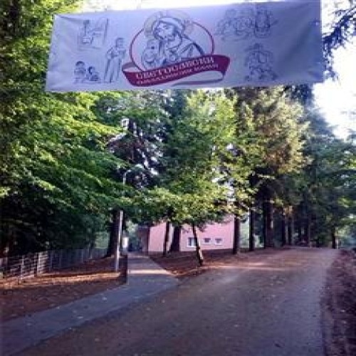 svetosavski-kamp-osvestan-2015-04