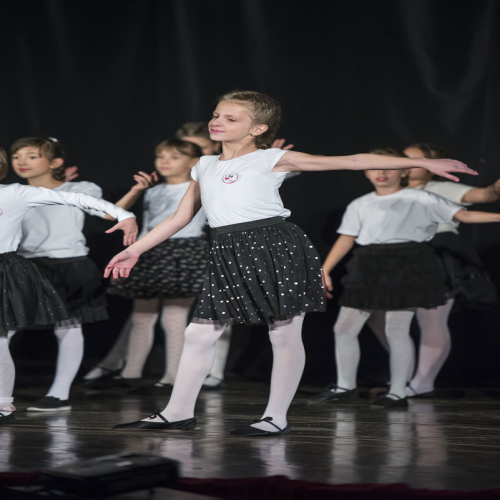 rotary-priredba-djeca-za-mrvice-2016DSC_2192