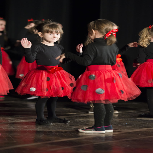 rotary-priredba-djeca-za-mrvice-2016DSC_2205