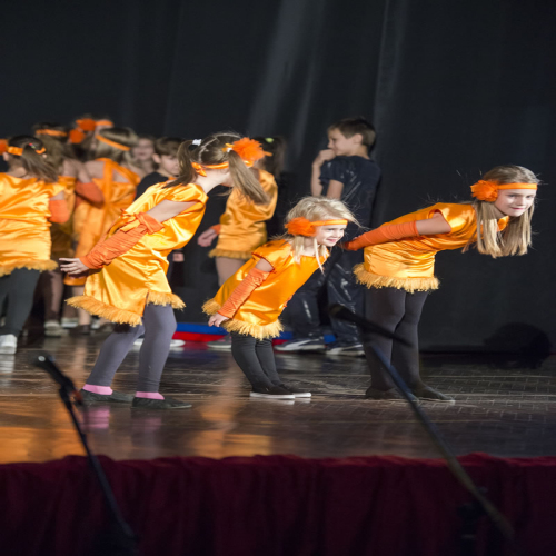 rotary-priredba-djeca-za-mrvice-2016DSC_2282