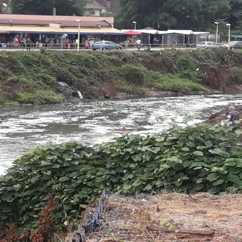 trovanje-bez-presedana-01