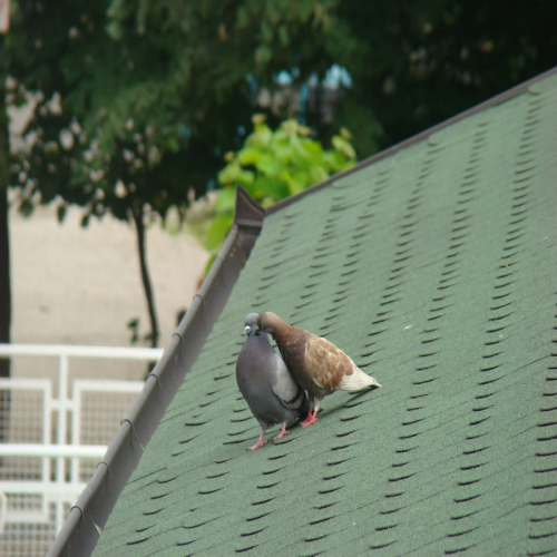 Doboj-Open-2015-05-peti-danDSC03917