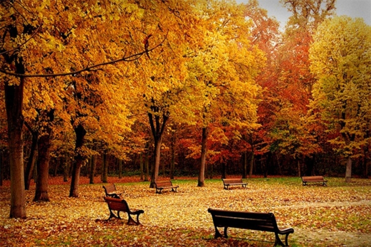 VRIJEME: Danas i do 26 stepeni celzijusovih