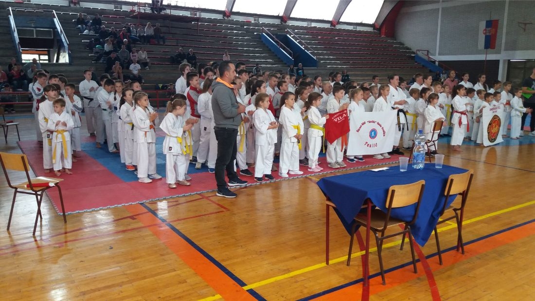 DOBOJ: U Apatinu pehar karatistima Vile (FOTO)