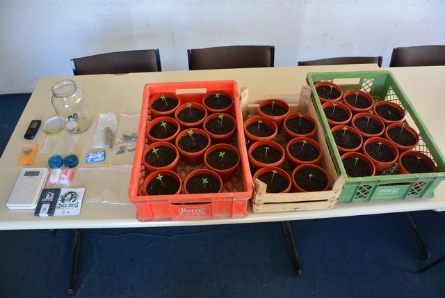 DOBOJ: Marihuana isplivala iz jezera