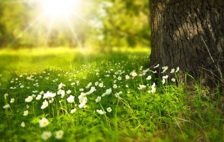 VRIJEME: Danas sunčano i vrlo toplo