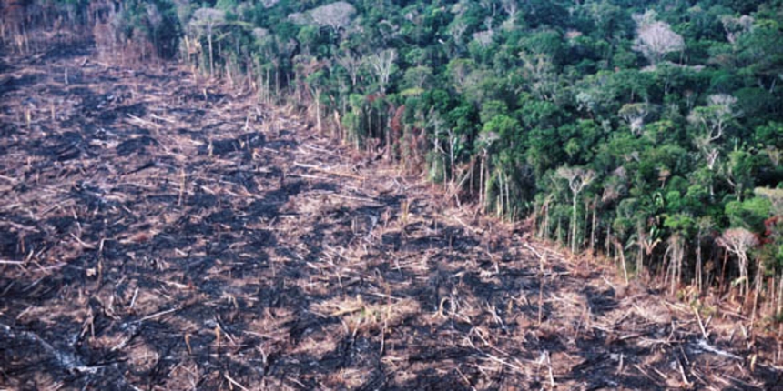 WWF: Ove srijede ulazimo u ekološki dug!