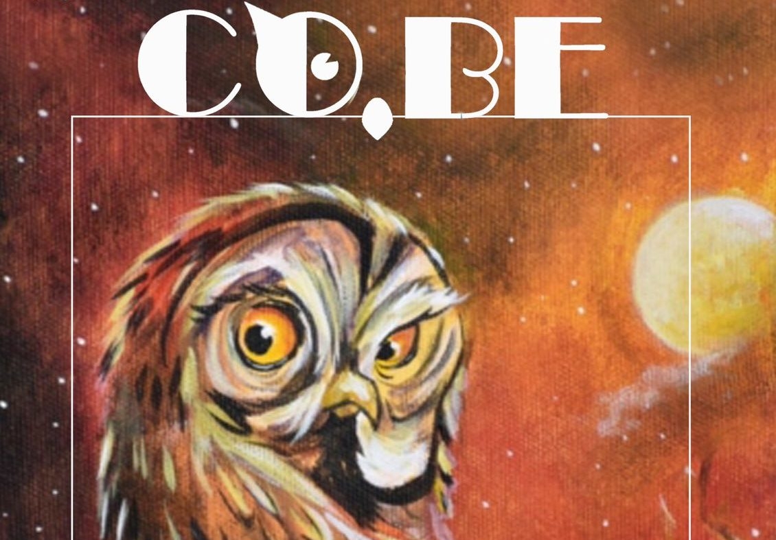 DOBOJ: Sutra otvaranje izložbe „Sove” slikara Perice Ivanovića