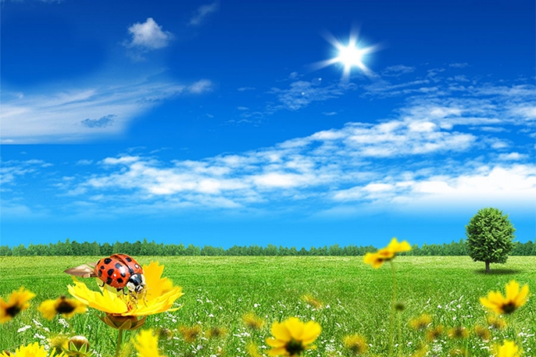 VRIJEME: Sunčano i toplije, temperatura do 32