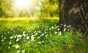 VRIJEME: Danas sunčano i toplije, popodne moguća kiša