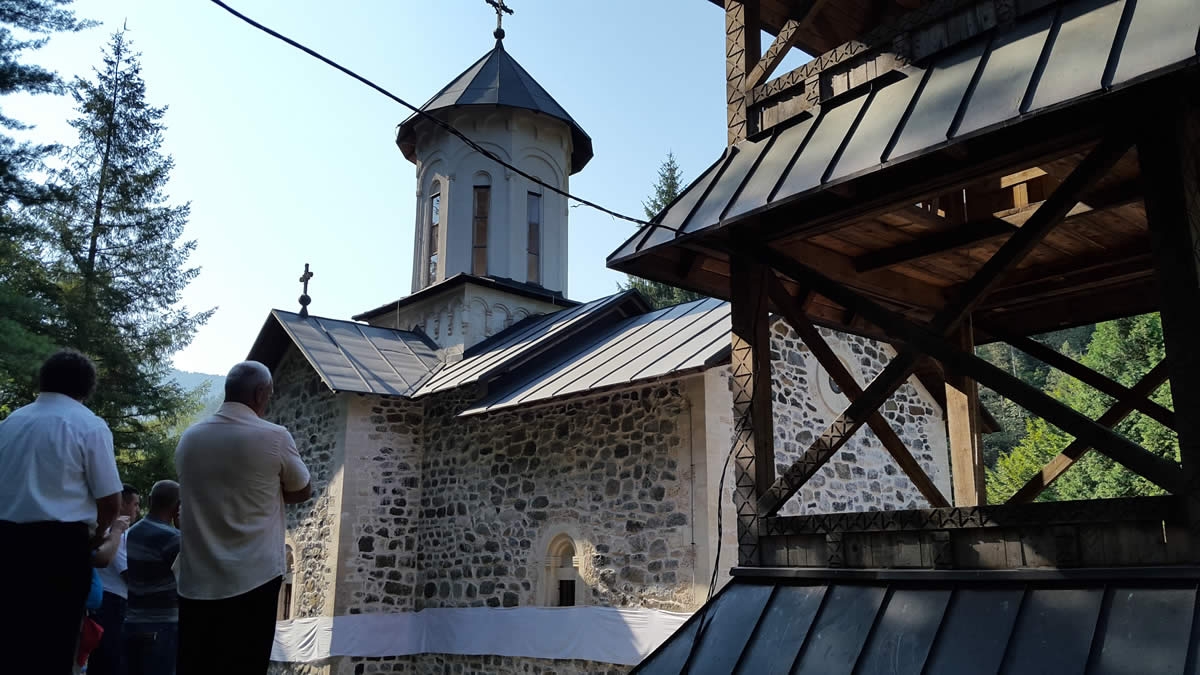 VOZUĆA: Policija traga za kradljivcima šume na srpskom imanju