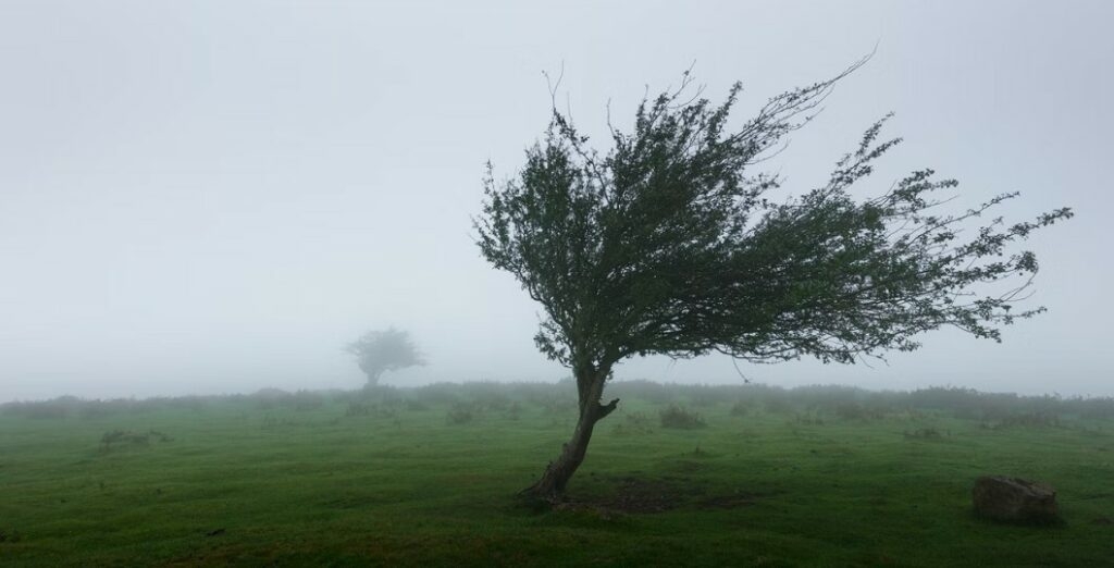 METEOALARM: Upozorenje na obilnije padavine i jak vjetar
