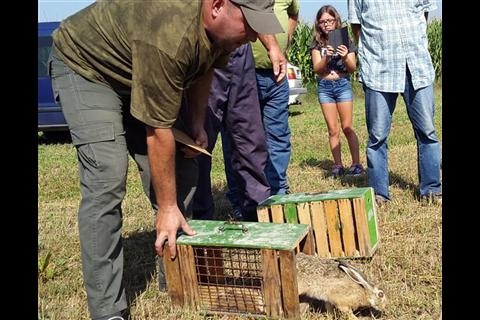 DOBOJ: Pušteni divlji zečevi u lovište