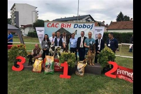 DOBOJ: Špringer španijel pobjednik izložbe pasa (FOTO)
