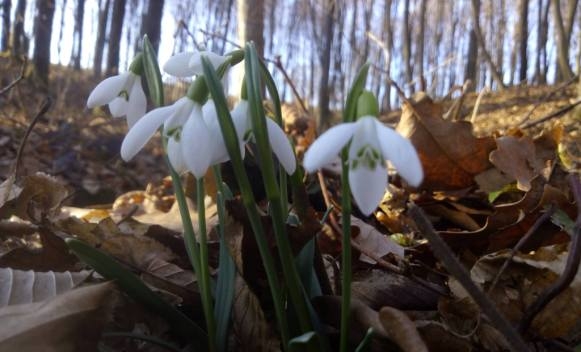 VRIJEME: Danas toplo, teperatura do 21 stepen
