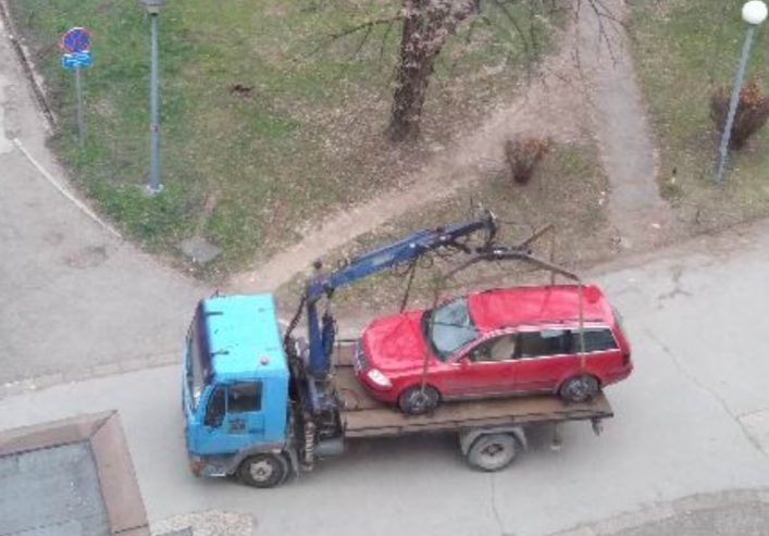 PAUK OPET AKTIVAN: Ko se nije sakrio, magarac bio. (FOTO)