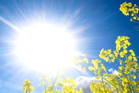 VRIJEME: Sunčano uz malu oblačnost, temperatura do 33