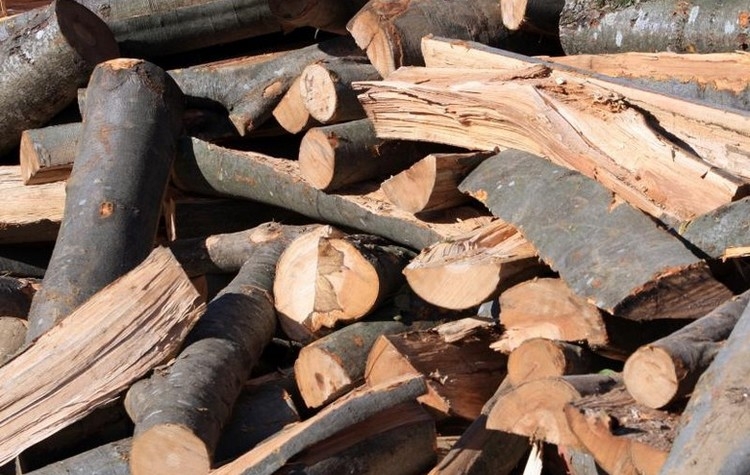 DOBOJ: Bespravno posječeno skoro 11 metara kubnih drveta