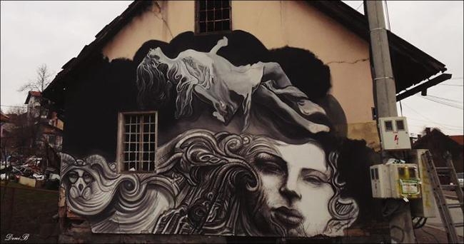 DOBOJ: Murali koji "mijenjaju sliku" grada (FOTO)