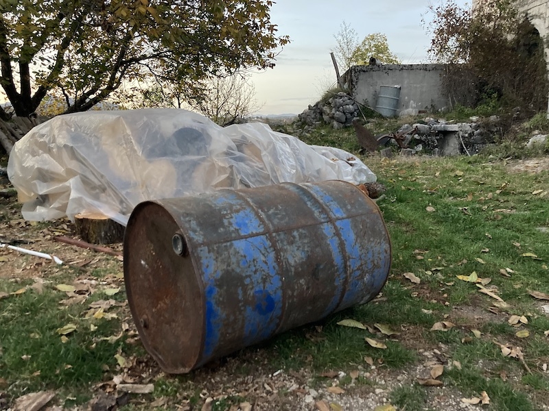 I BI NEDELJA: Kad goveda jašu